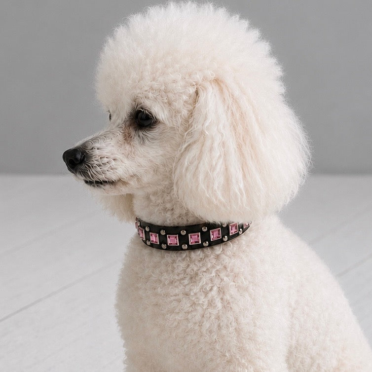 Baryte Square Jewel Leather Dog Collar – 3/4" Small Dog Collar with Nickel Nameplate
