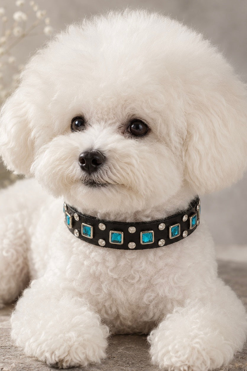 Baryte Square Jewel and crystal studs Leather Dog Collar – 3/4" Small Dog Collar with Nickel Nameplate
