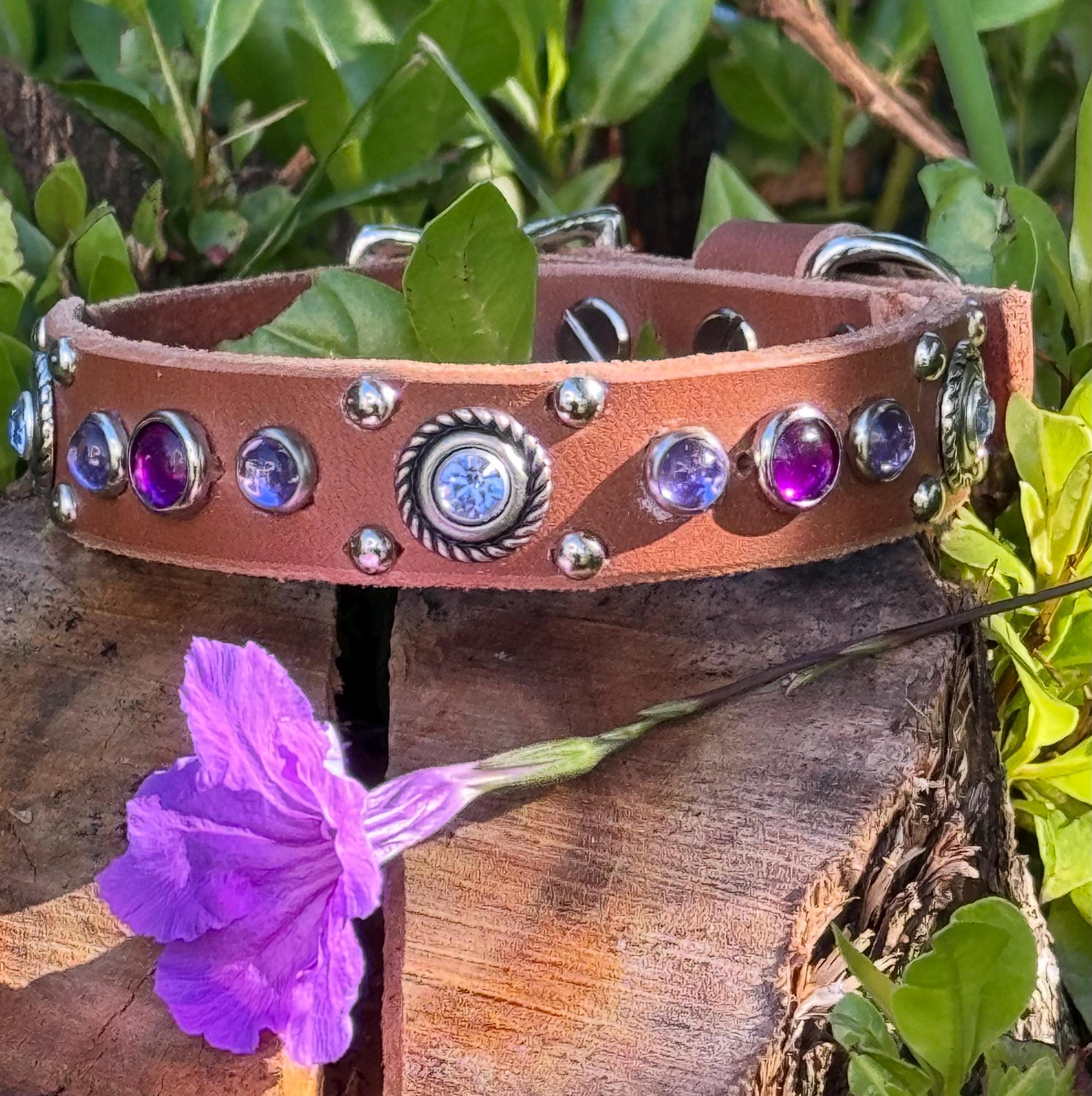 Grapevine Leather Dog Collar – 3/4" Celtic Concho Small Dog Collar with Crystals & Cabochons – Optional Nameplate