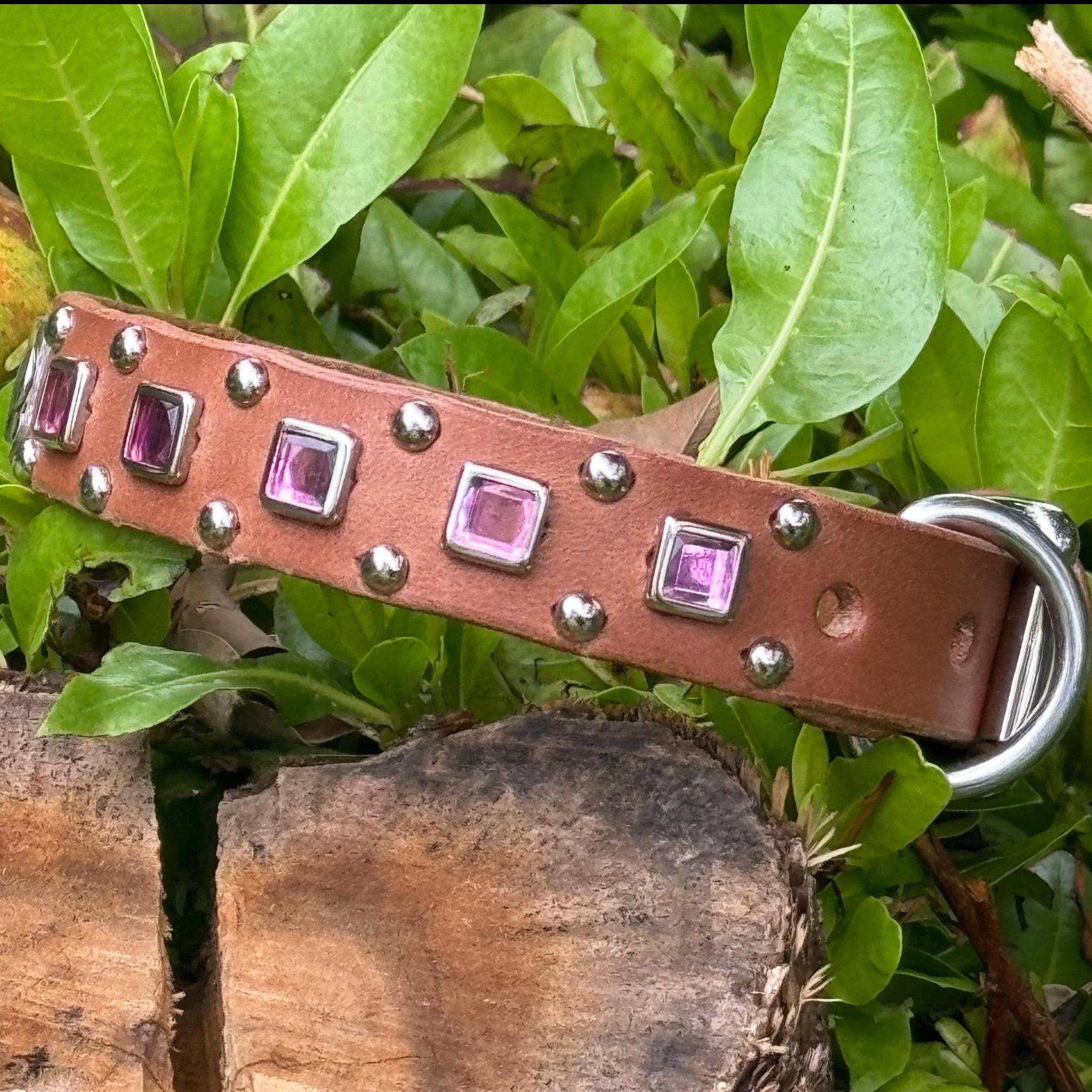 Brown leather dog collar with pink gemstones and silver studs on a green leafy background