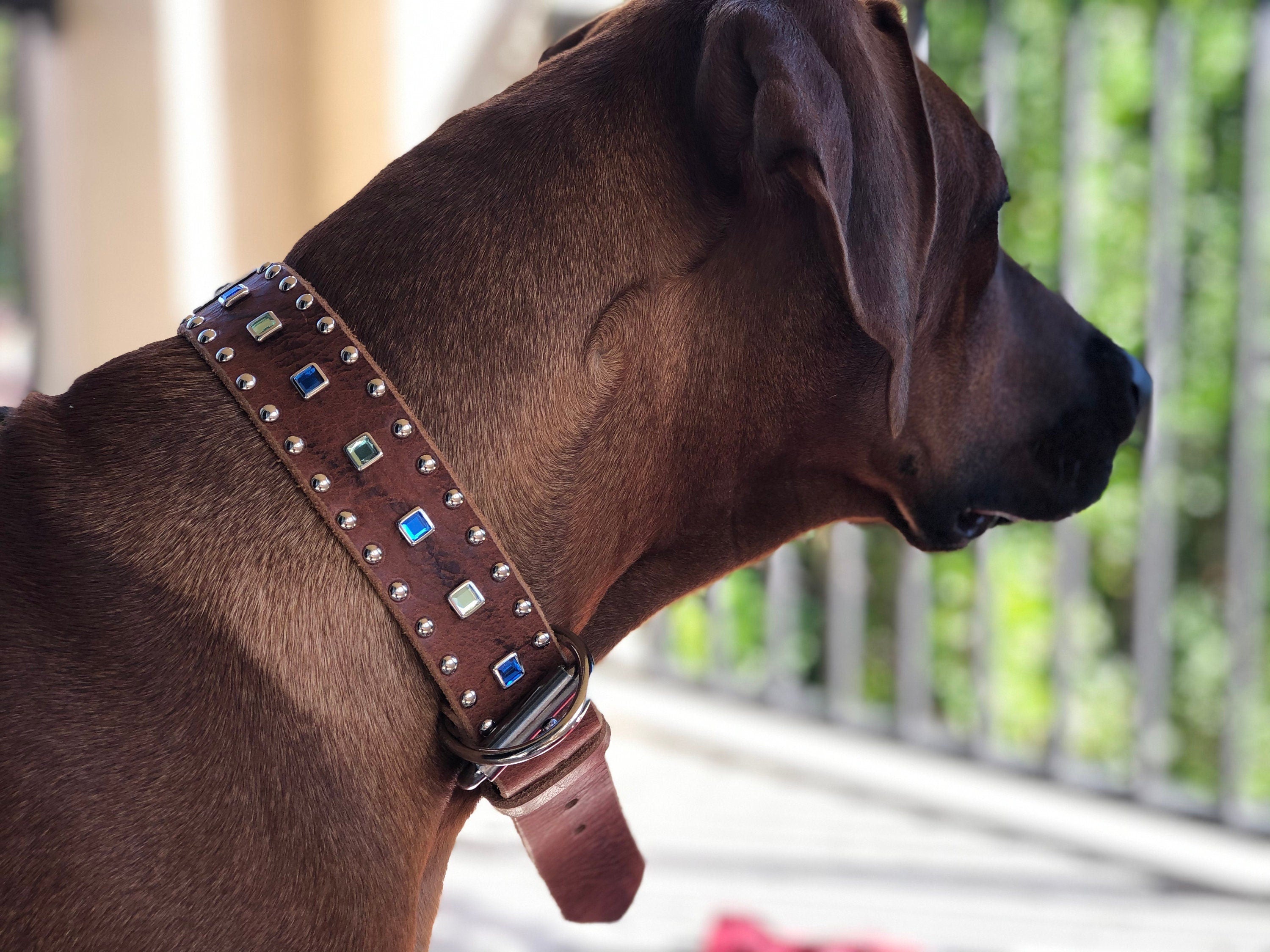 Baryte Square Jewel Leather Dog Collar – 1.5" Large Dog Collar with Nickel Nameplate