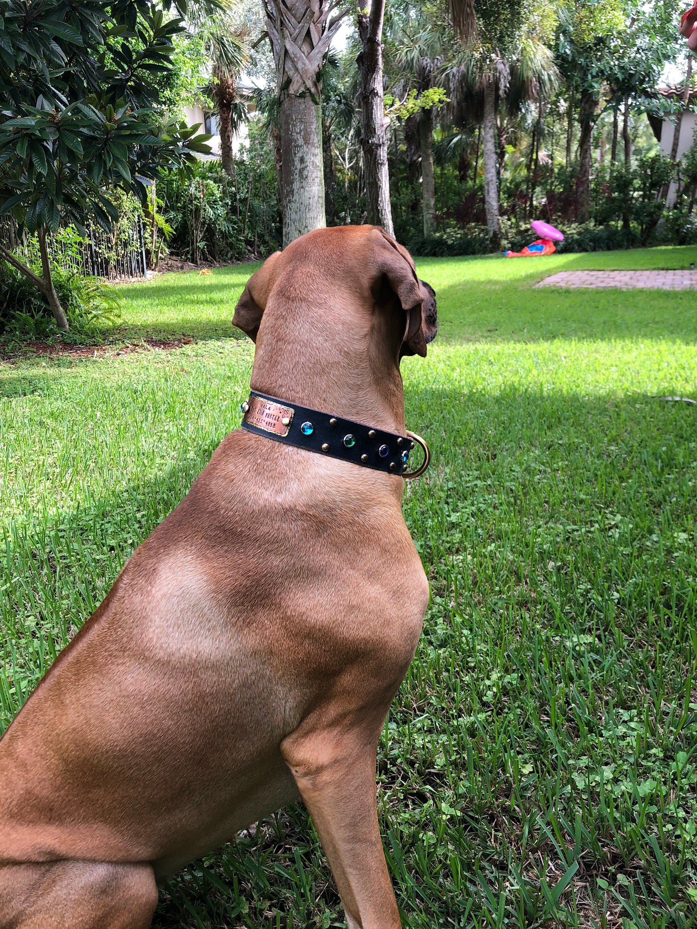 The Aurora Collar | 1.5" Jeweled Leather Dog Collar | Cabochon Collar | Large Dog Collar, Dog Lover Gift