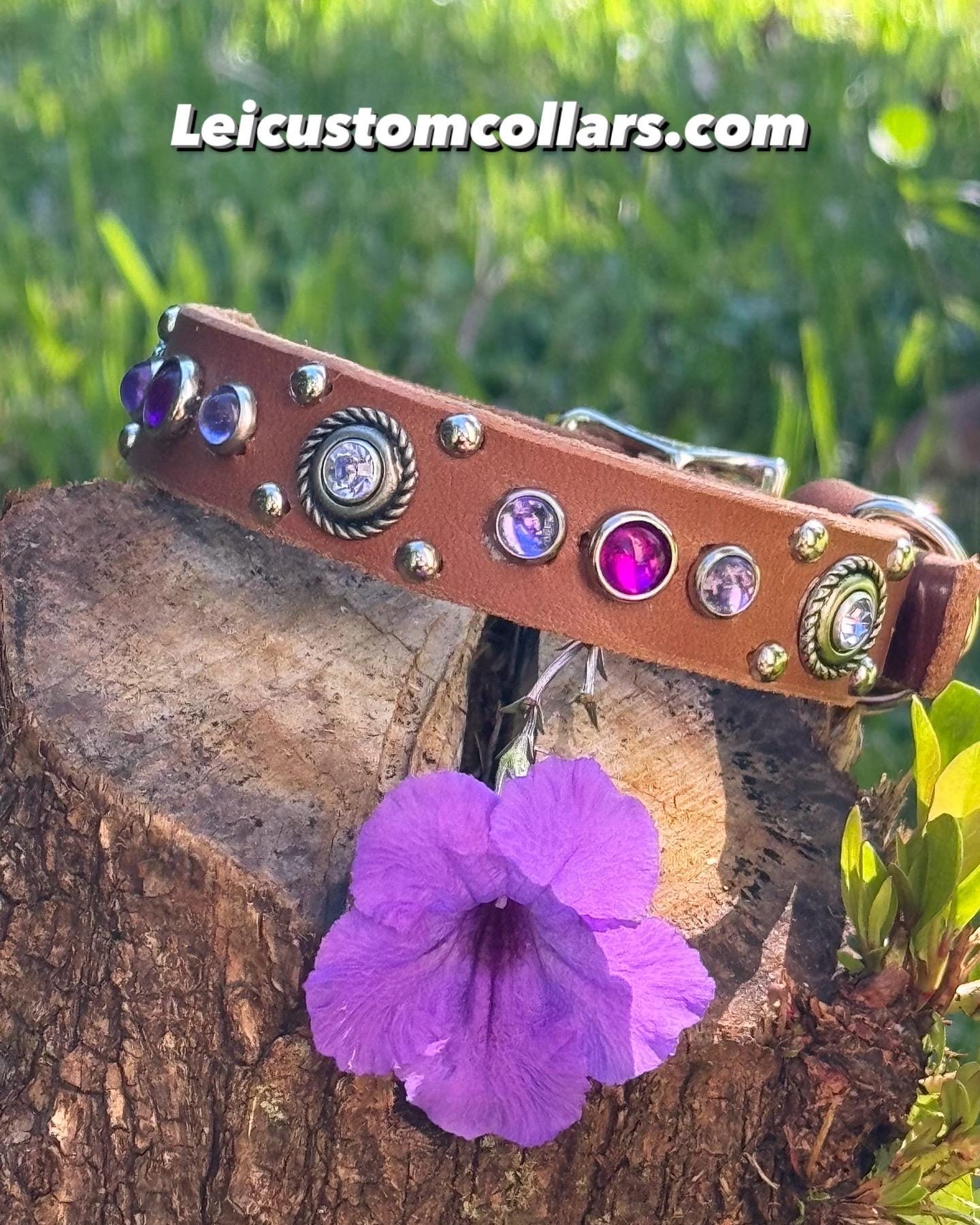 Grapevine Leather Dog Collar – 3/4" Celtic Concho Small Dog Collar with Crystals & Cabochons – Optional Nameplate