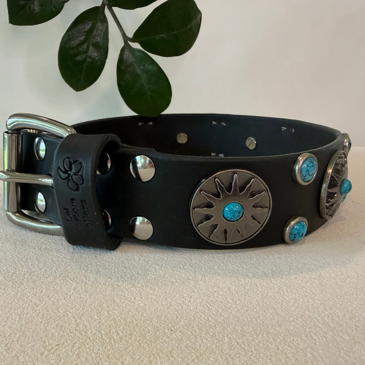Black leather dog collar with Nickel buckle, studs and turquoise Native Sun conchos on a beige surface