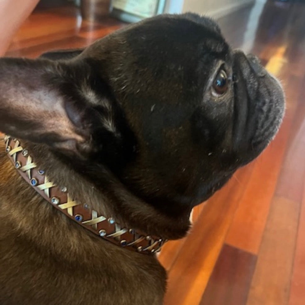 The Xcellent Collar – 3/4" | Handmade Leather Dog Collar with Premium Austrian & Czech Crystalsyes
