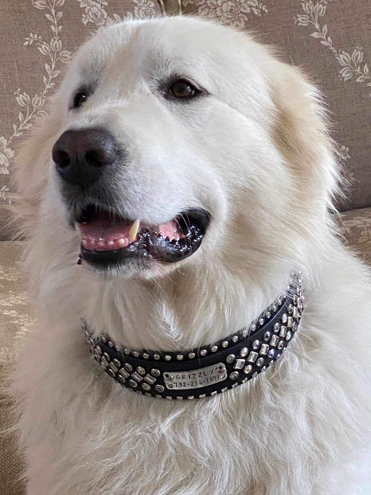 The Galaxy Special Edition — 2″ Wide Crystal Leather Dog Collar