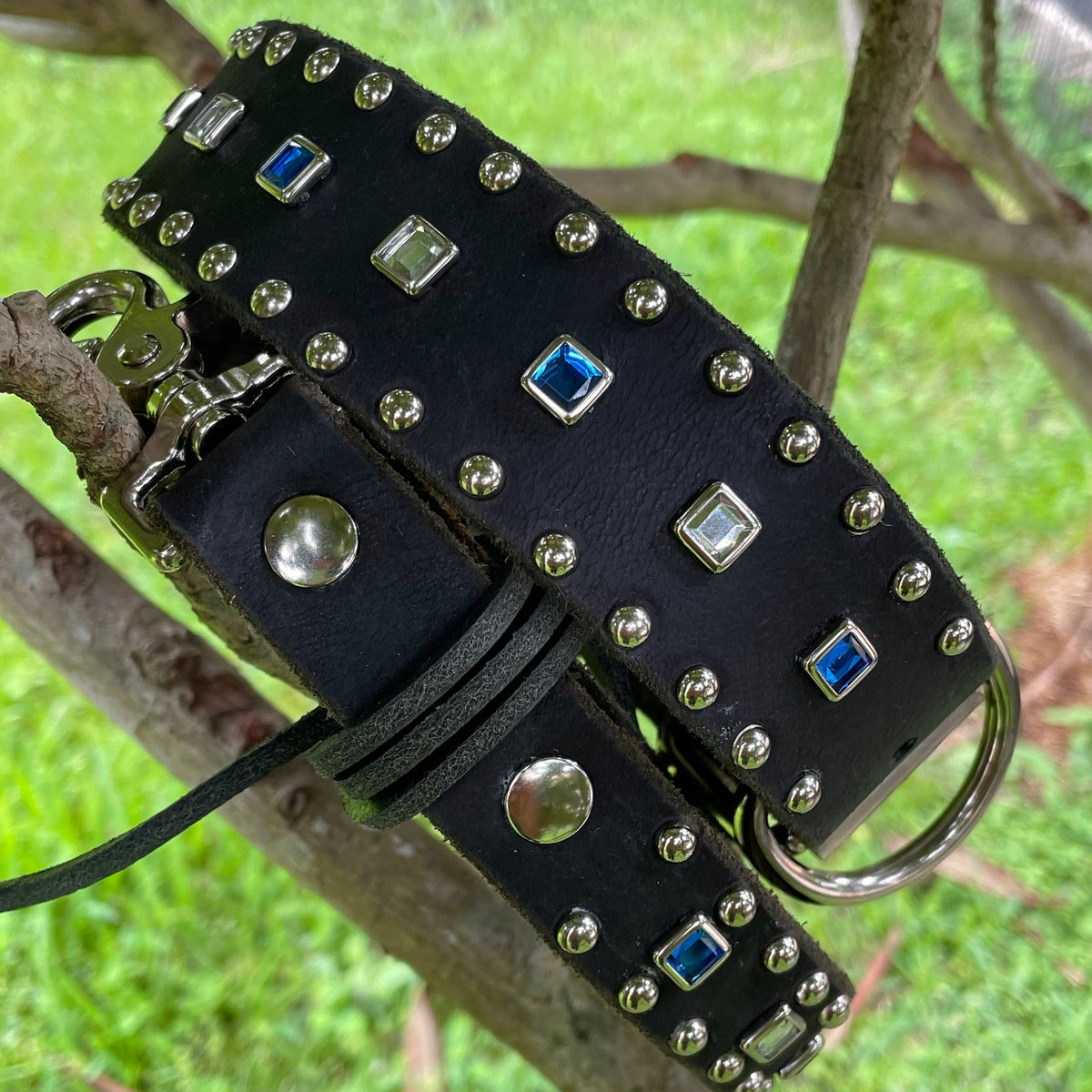 A black leather dog collar with silver-tone studs, square rhinestones, and blue accent stones, shown hanging from a tree branch outdoors with grass in the background.