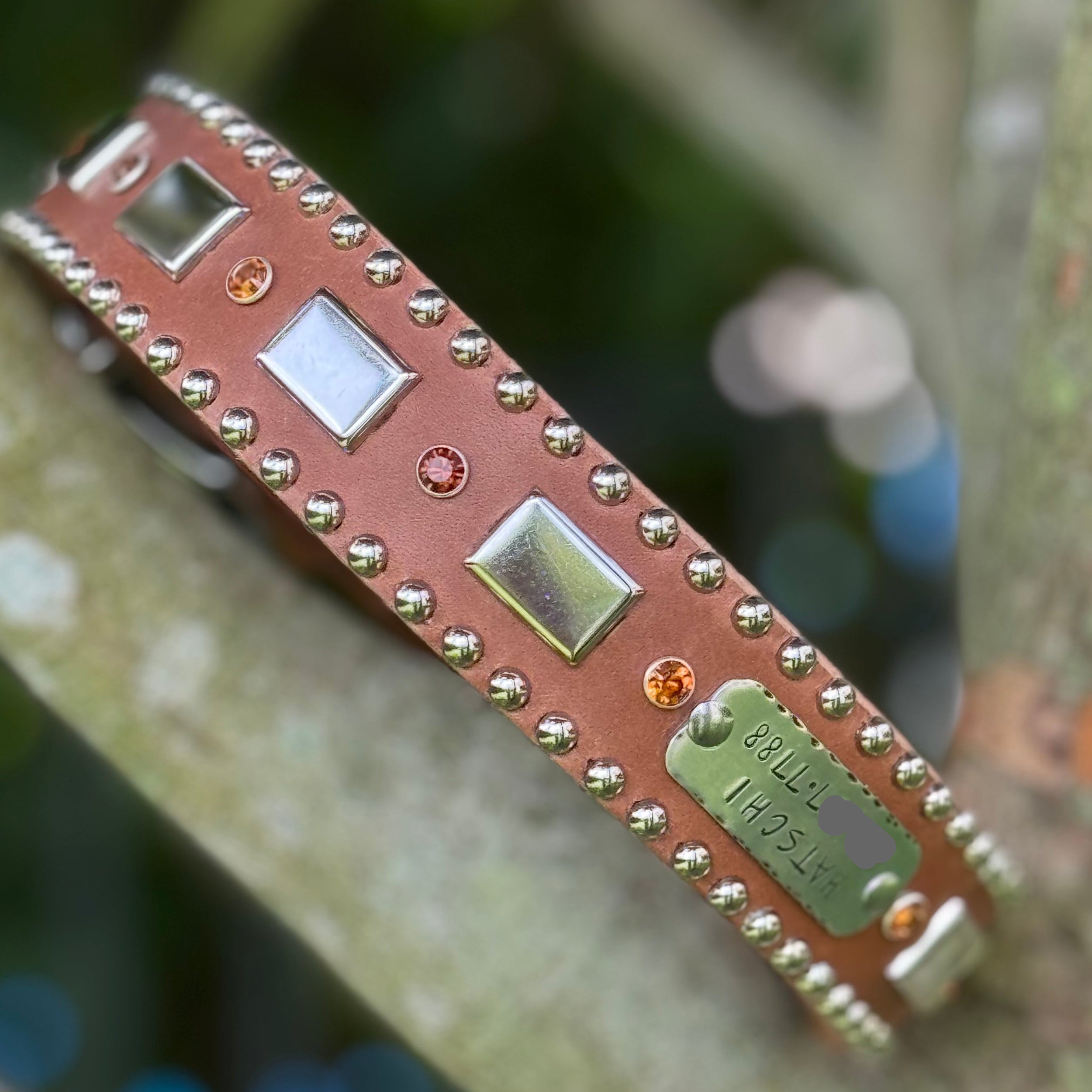 Attis Leather Dog Collar – 1.5" Crystal & Nickel Spots Statement Dog Collar with Personalized Nickel Nameplate