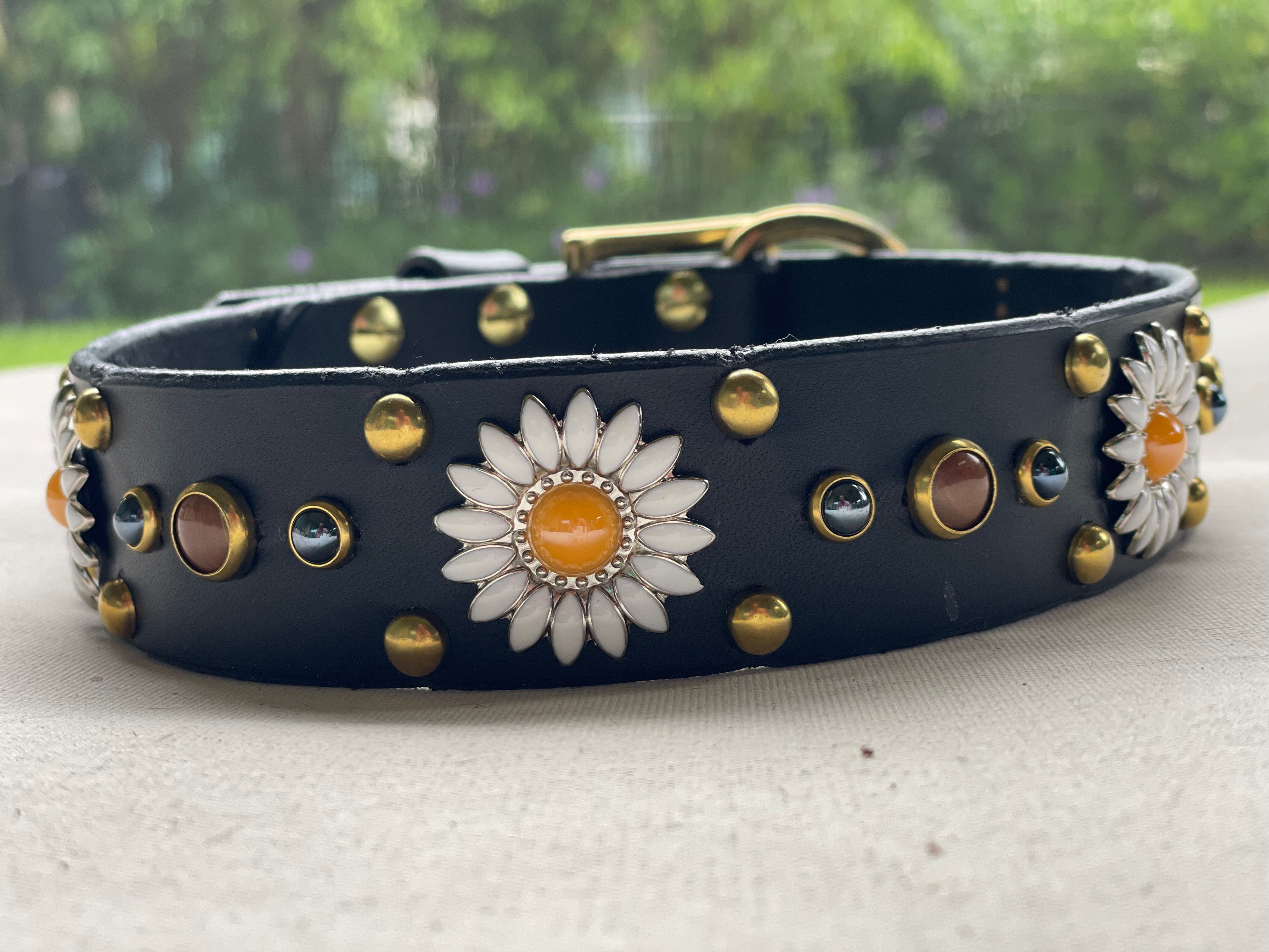 Black leather dog collar with brass studs, daisy flower concho with amber center, and hand-set stone accents, luxury handcrafted pet collar photographed outdoors.