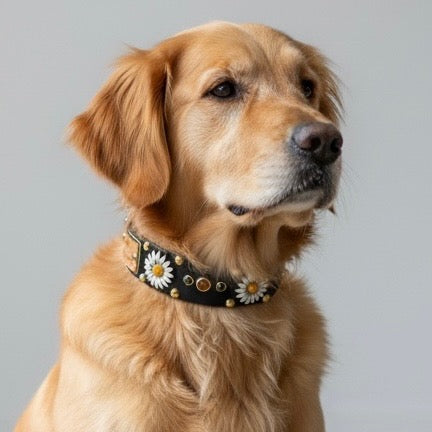 Daisy Leather Dog Collar – 1.5” Width