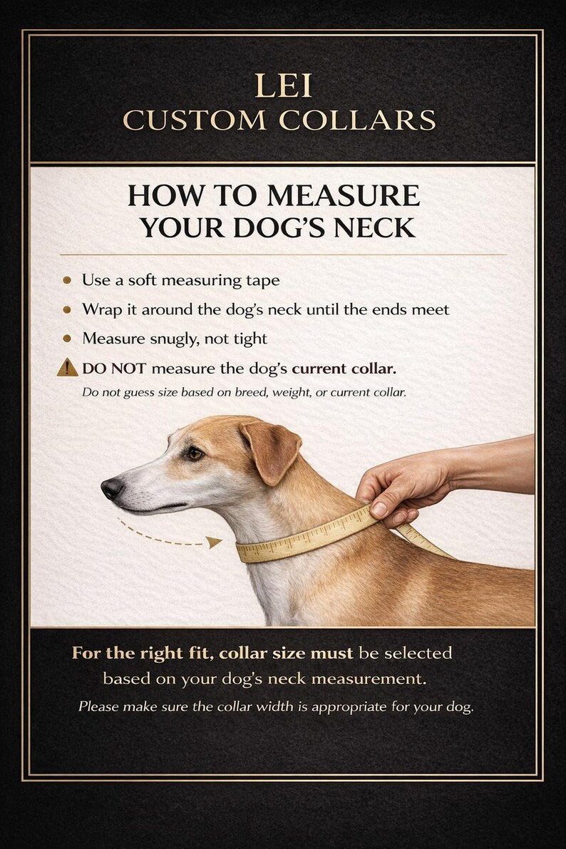 How to measure your dog's neck for a collar