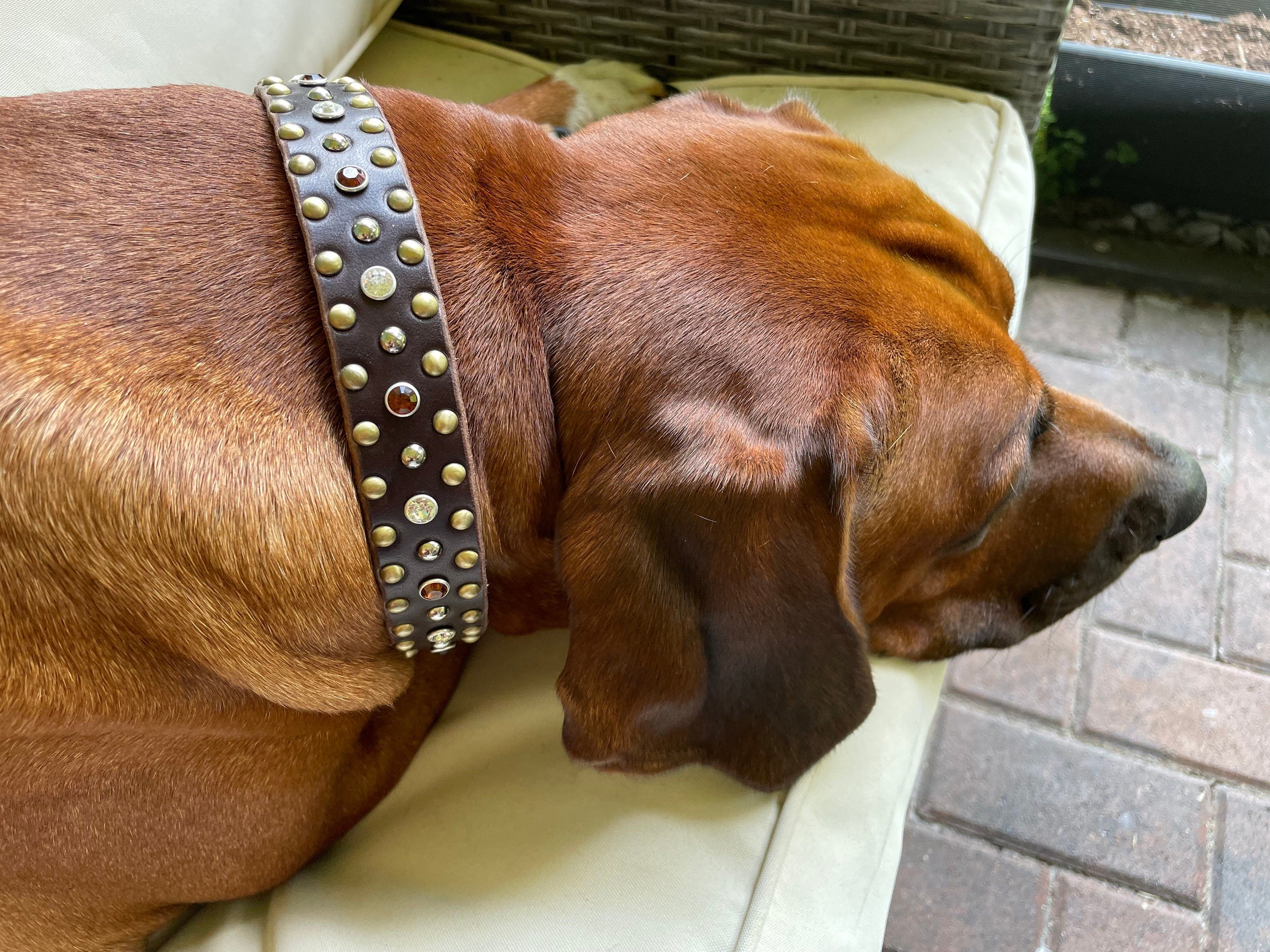 The Imperial – Studded Crystal Leather Dog Collar 1" | Brass & Nickel Hardware | Handmade Luxury
