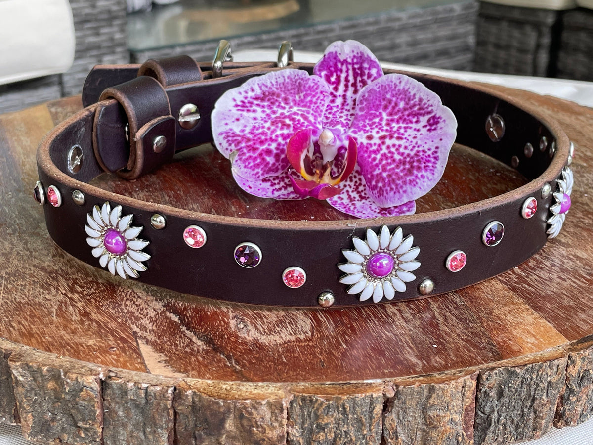Daisy Crystal Leather Dog Collar – 1” Wide, Curved Crystal Design