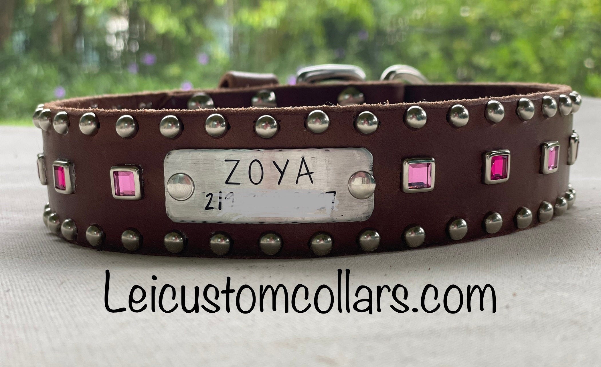 Baryte Square Jewel Leather Dog Collar – 1.5" Large Dog Collar with Nickel Nameplate