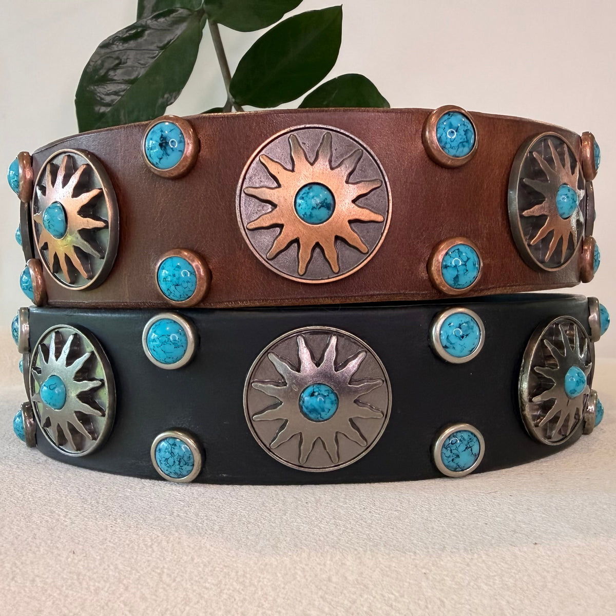 Western Native Sun 1.5 inch leather dog collar with Nickel sun conchos and turquoise cabochons – handmade by Lei Custom Collars