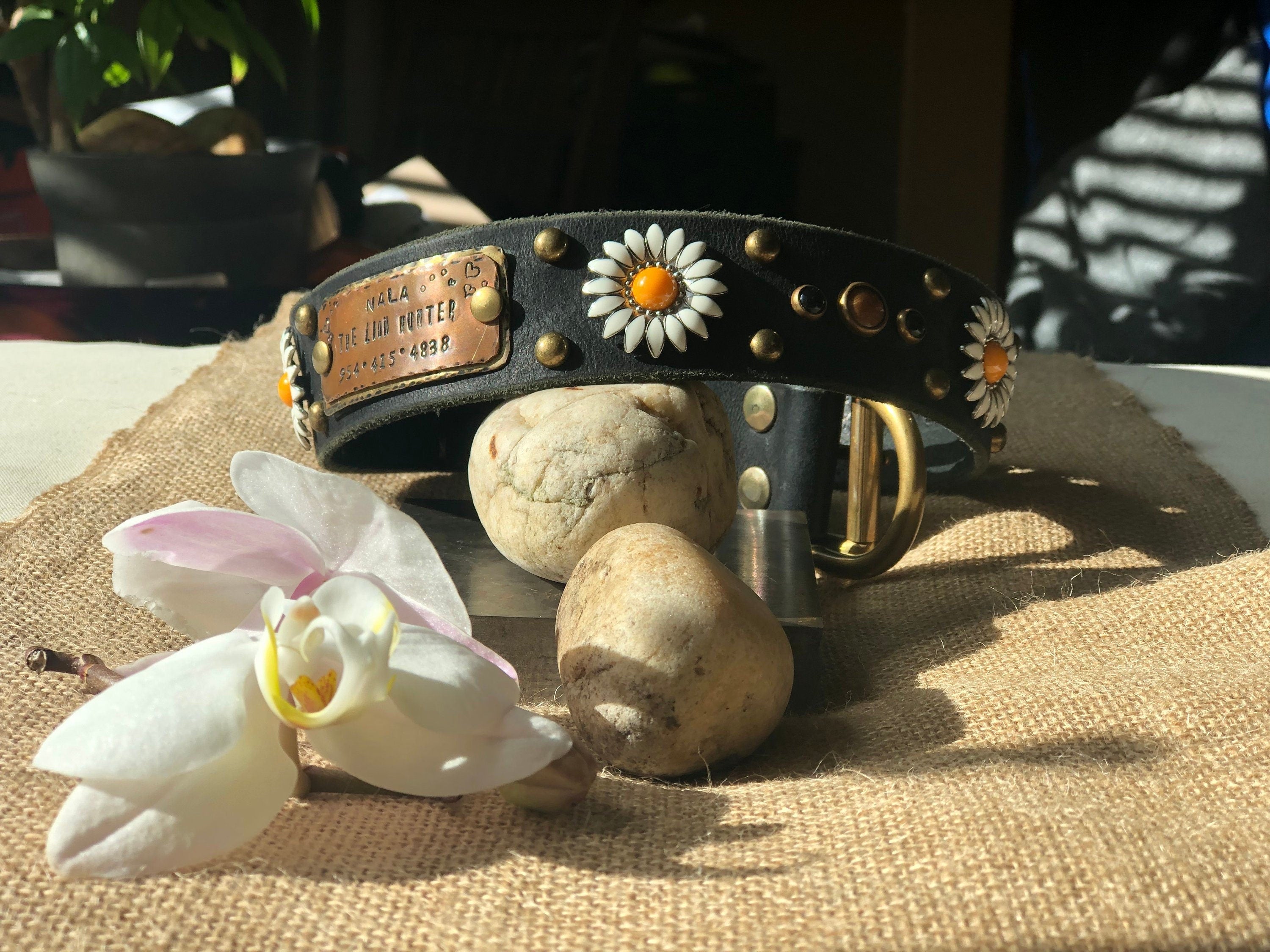 Daisy Leather Dog Collar – 1.5” Width