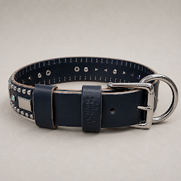 Attis Leather Dog Collar – 1.5" Crystal & Nickel Spots Statement Dog Collar with Personalized Nickel Nameplate