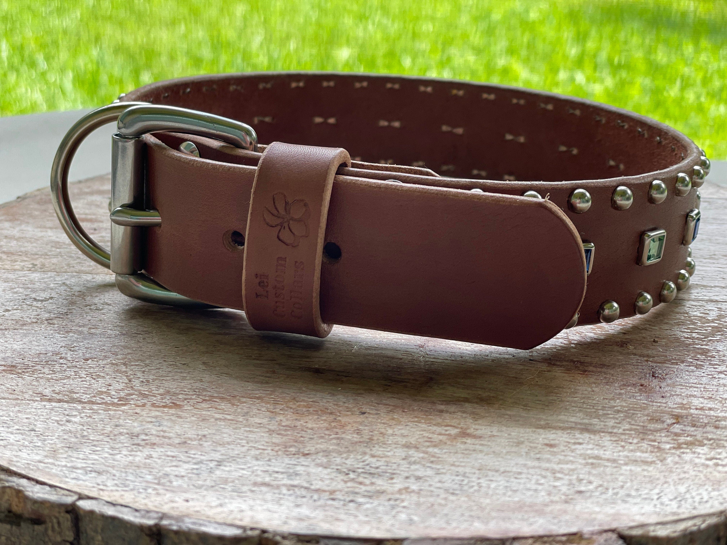 Baryte Square Jewel Leather Dog Collar – 1.5" Large Dog Collar with Nickel Nameplate