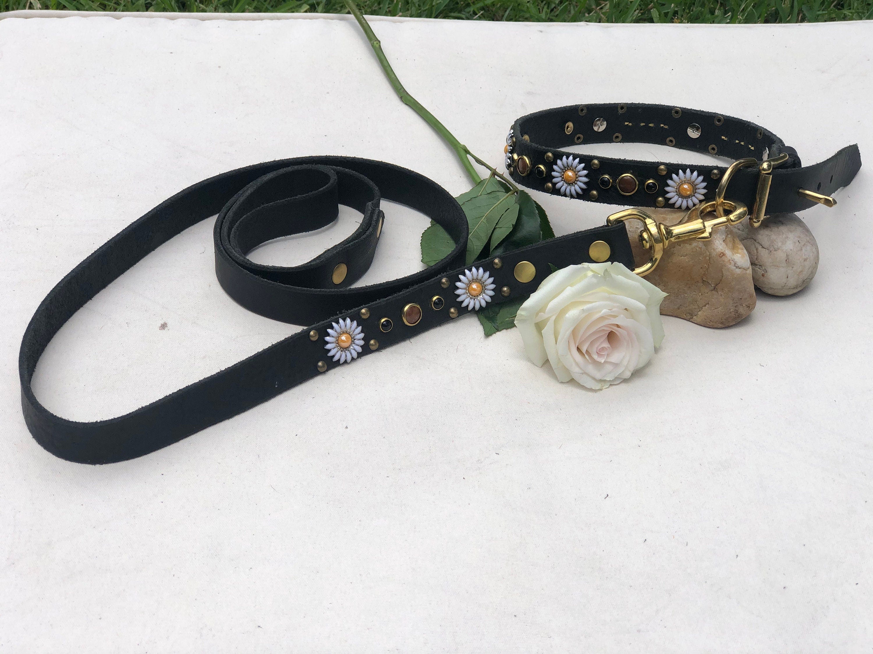 Leather Dog Leash – 3/4" | Personalized | Medium & Large Dogs