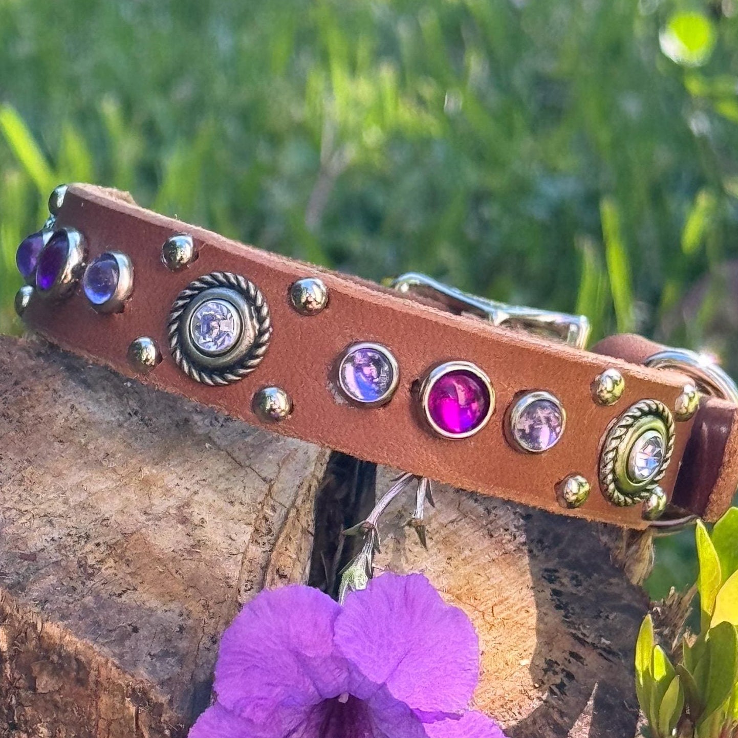 Decorative dog collar with gemstones on a tree stump with a purple flower