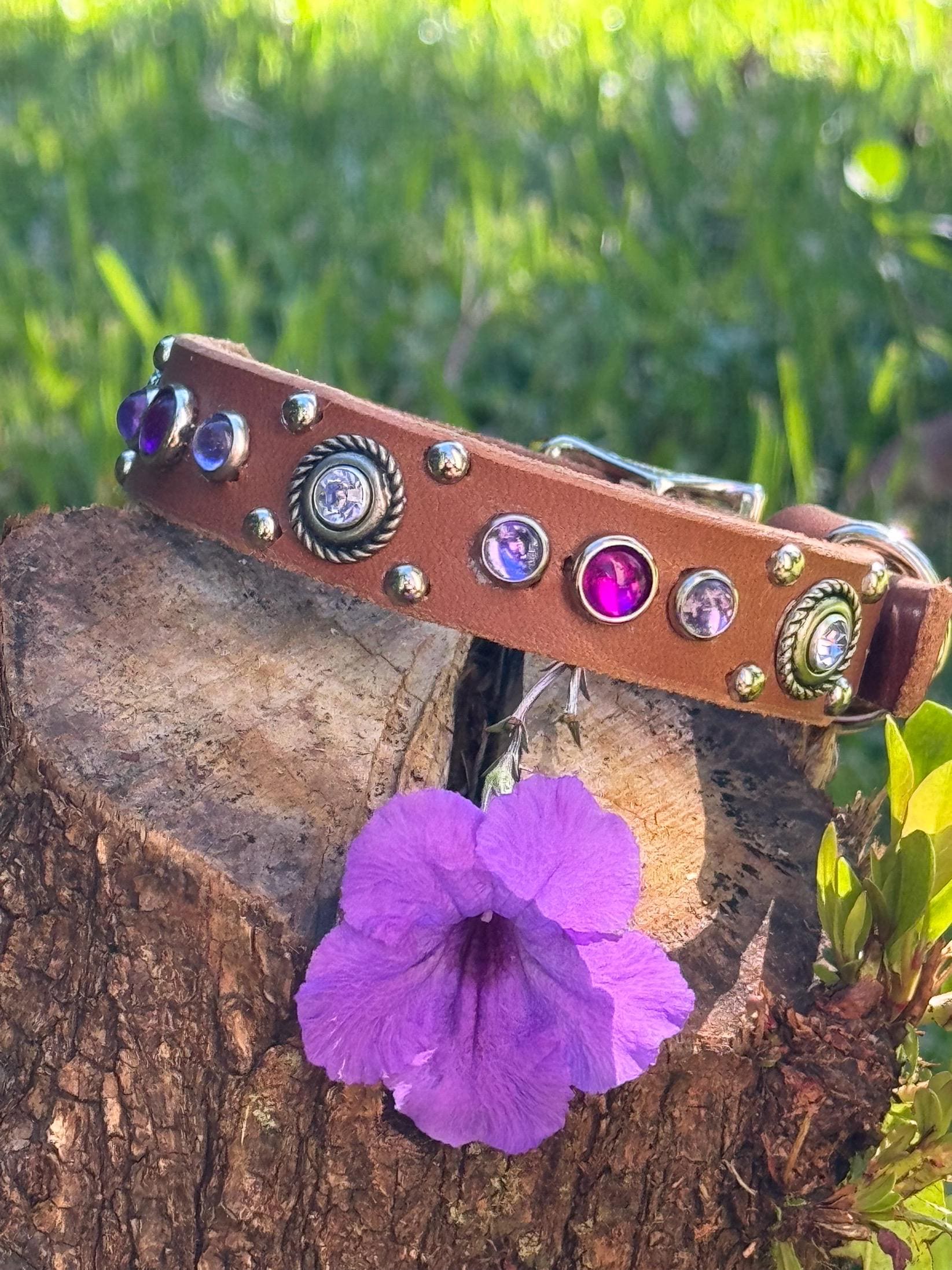 Grapevine Leather Dog Collar – 3/4" Celtic Concho Small Dog Collar with Crystals & Cabochons – Optional Nameplate
