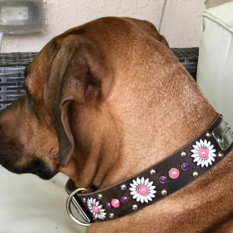 Daisy Leather Dog Collar – 1.5” Width