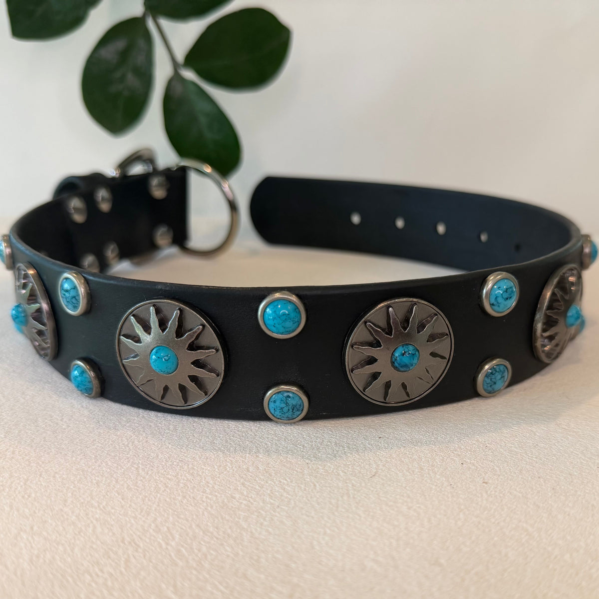 A black leather dog collar with silver-toned metal hardware, featuring circular starburst-style conchos and small round turquoise-blue stones, displayed on a light beige surface with a white background and green leaves in the upper corner.