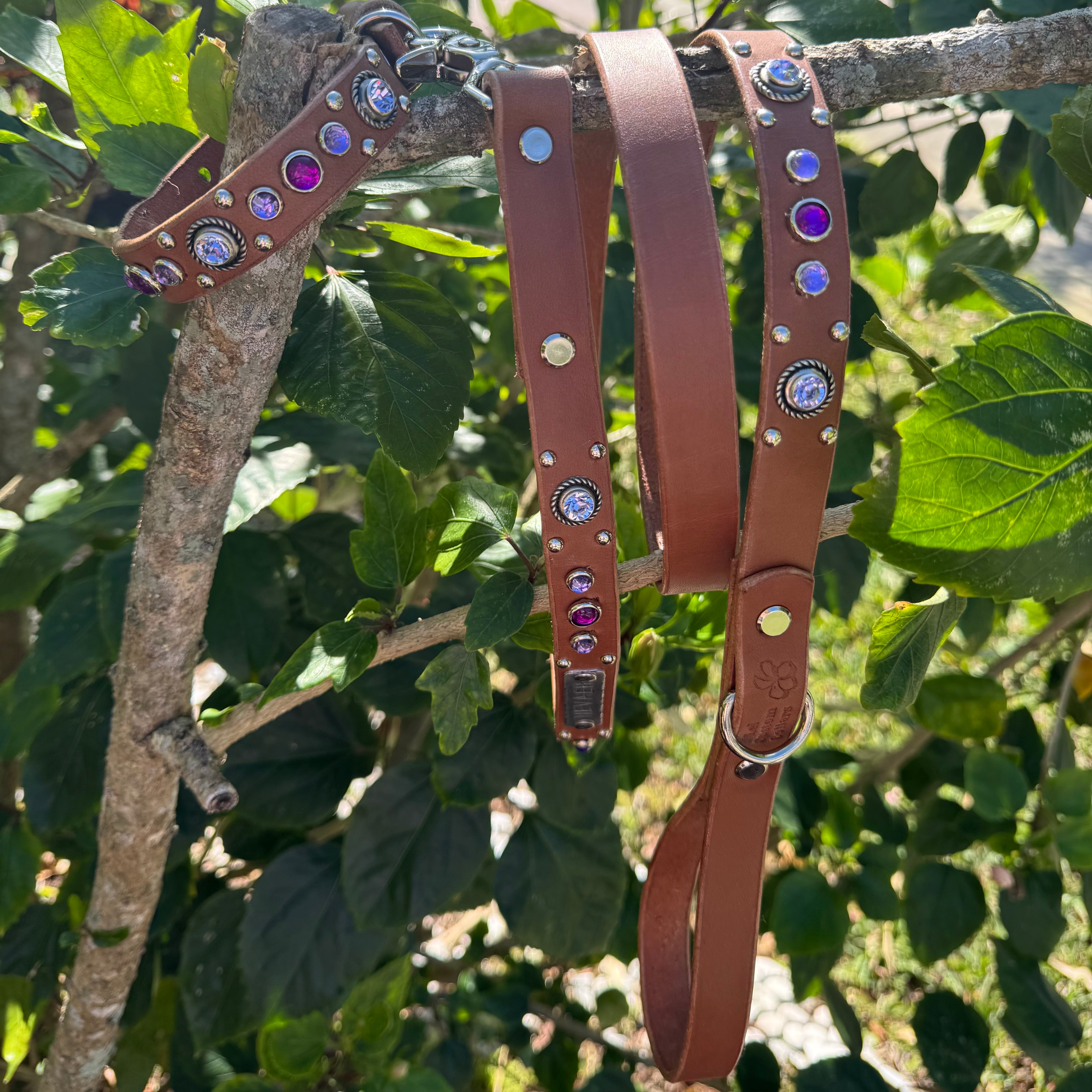 Leather Dog Leash – 3/4" | Personalized | Medium & Large Dogs
