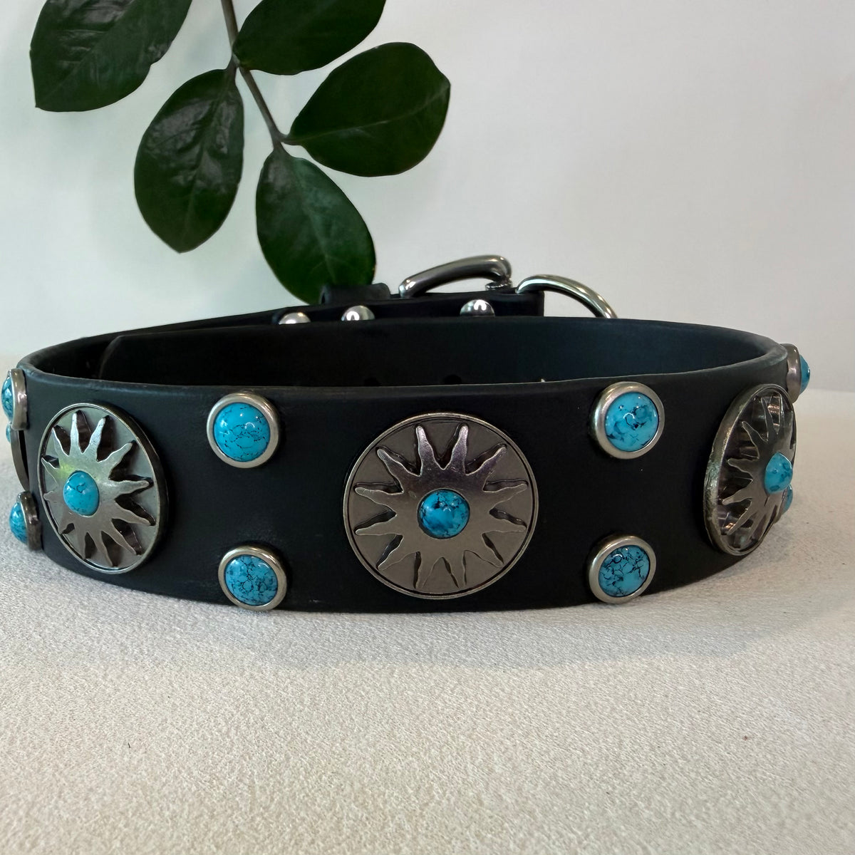 A black leather dog collar decorated with silver-toned concho-style hardware and turquoise-colored stones, displayed on a light textured surface with a green plant leaf in the background.