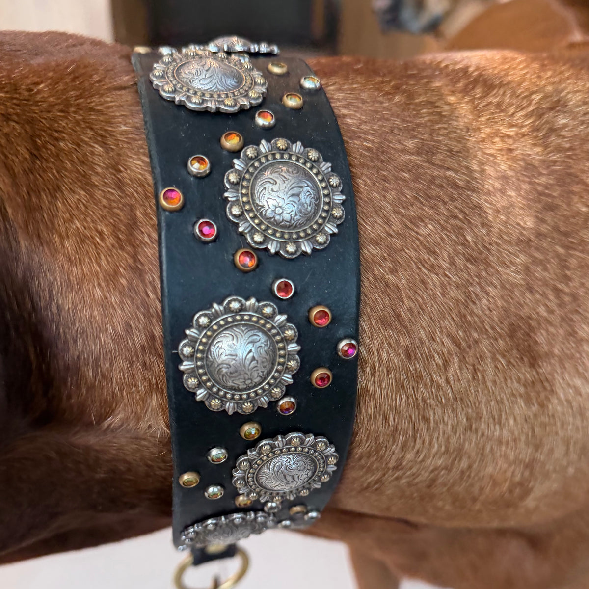 2" Berry Concho Swarovski Crystal Leather Dog Collar