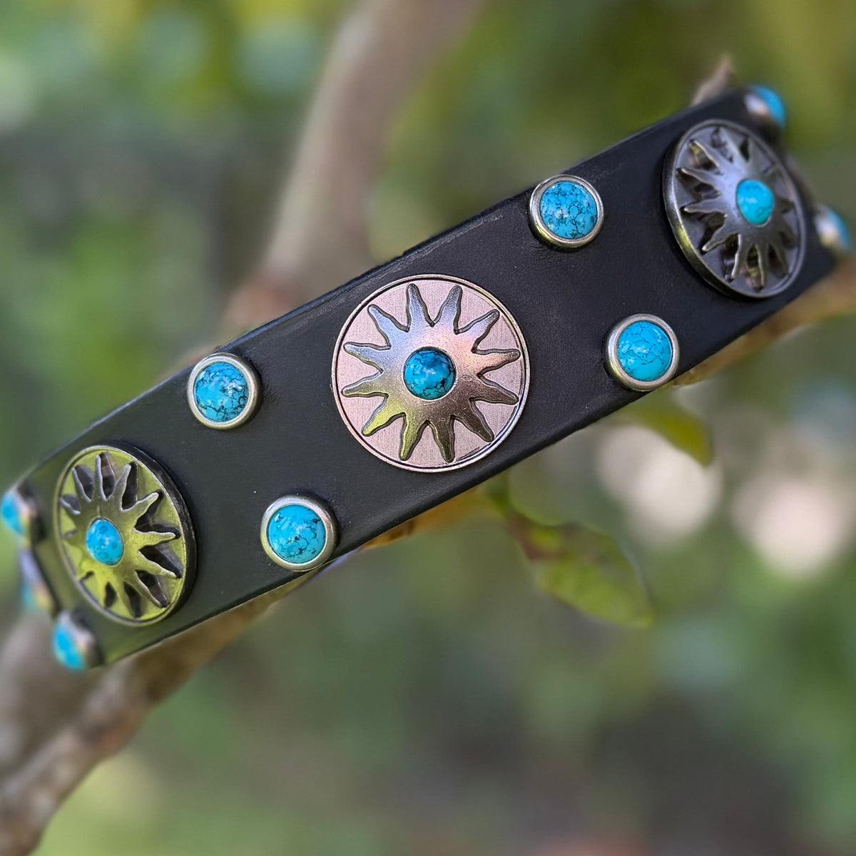 Black leather dog collar with Nickel sun conchos and turquoise cabochons, resting on a tree branch