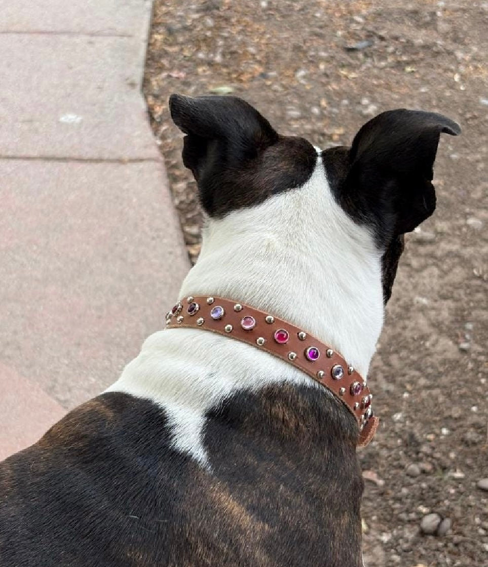 The Aurora Collar | Jeweled Leather Dog Collar 3/4" | Custom Crystal & Cabochon Collar for Small Dogs, Girl Dog Collar