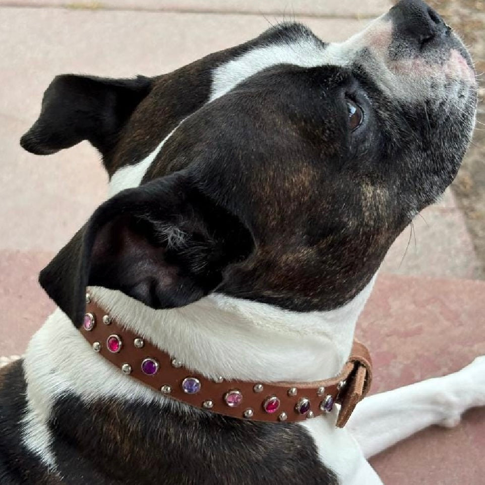 The Aurora Collar | Jeweled Leather Dog Collar 3/4" | Custom Crystal & Cabochon Collar for Small Dogs, Girl Dog Collar