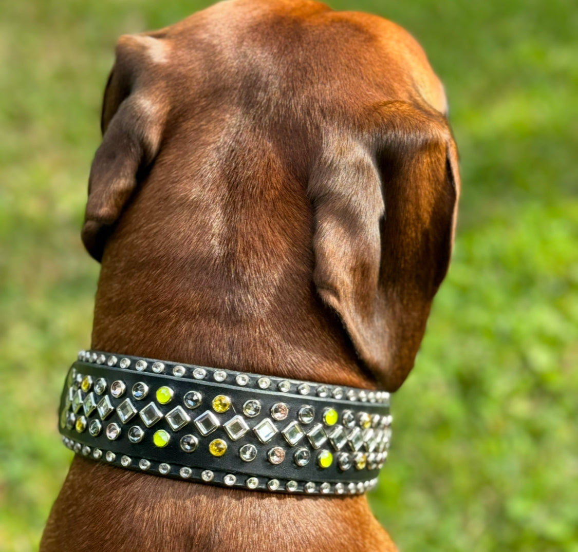 The Galaxy Special Edition — 2″ Wide Crystal Leather Dog Collar