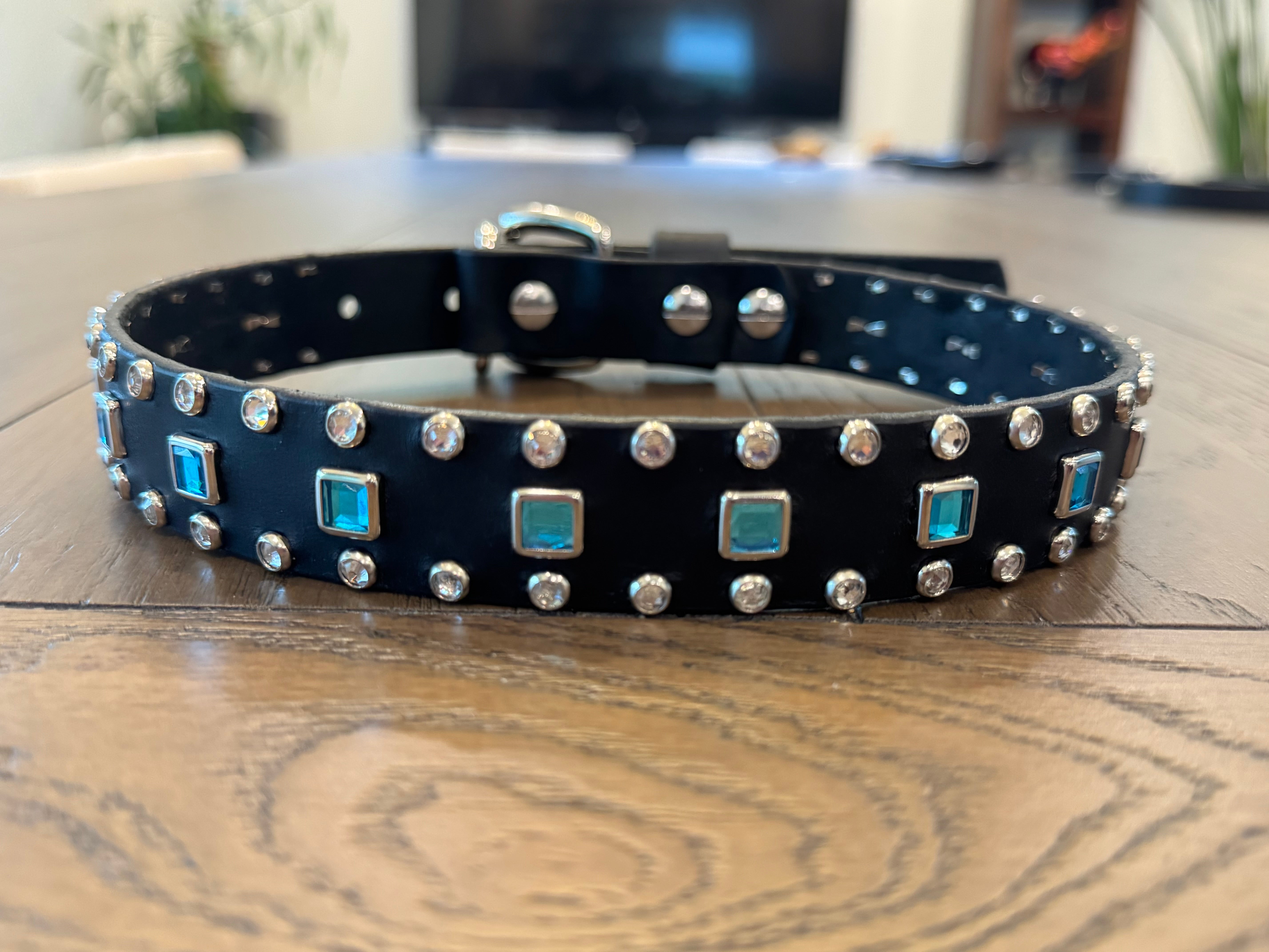 Baryte Square Jewel Clear Crystal Leather Dog Collar – 1" Medium Dog Collar with Nickel Nameplate
