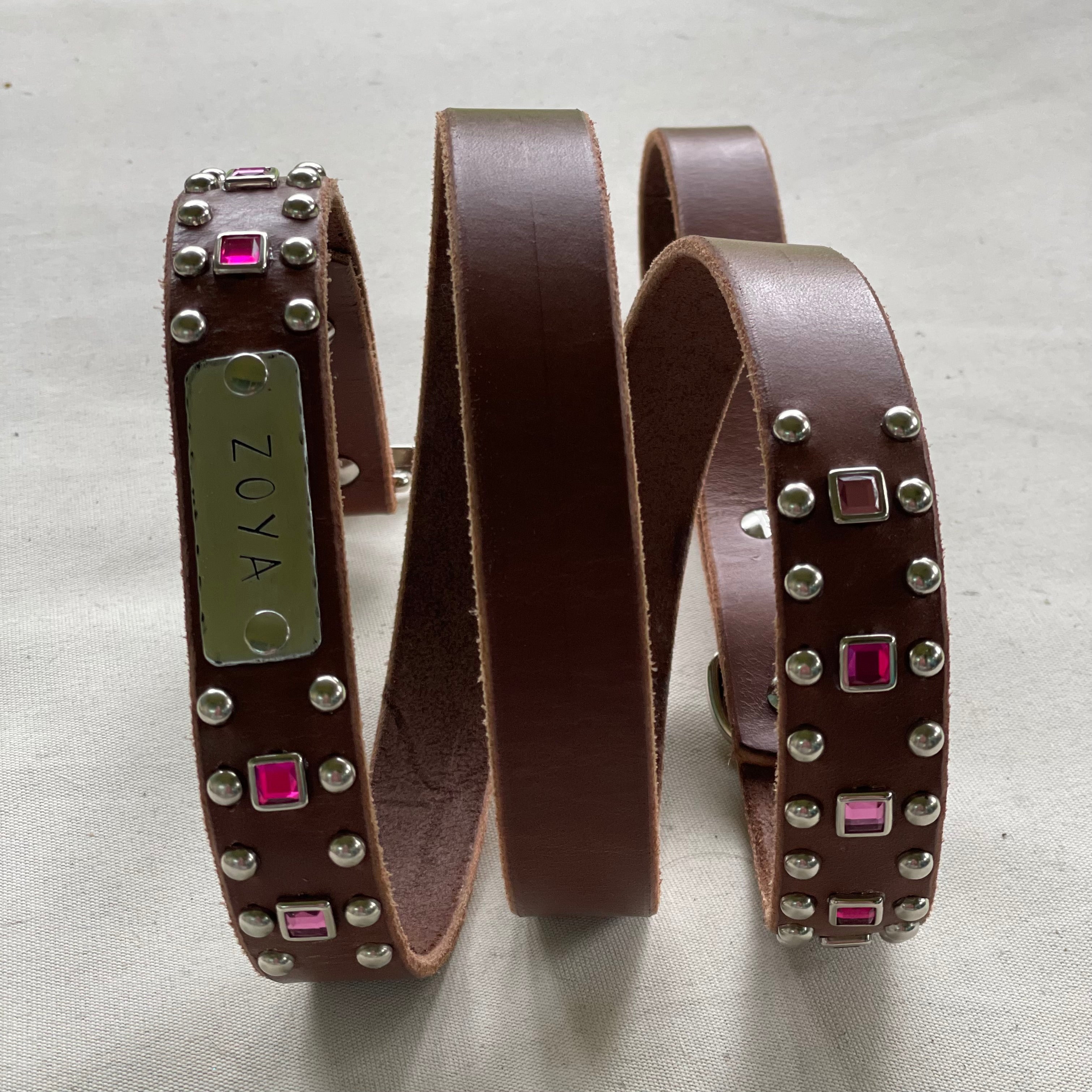 Daisy Leather Dog Leash – 1" | Personalized | Medium & Large Dogs