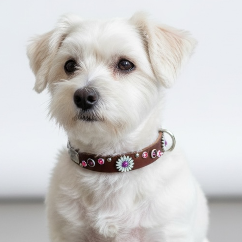 Daisy Crystal Leather Dog Collar – 5/8” Wide, Curved Crystal Design