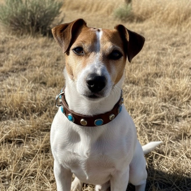 The Sedona – Turquoise Leather Dog Collar | Handmade 3/4" | Lei Custom Collars