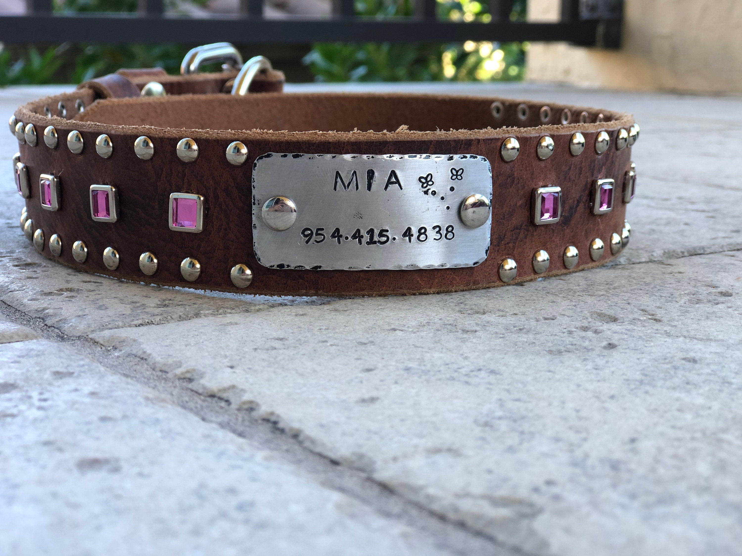 Baryte Square Jewel Leather Dog Collar – 1.5" Large Dog Collar with Nickel Nameplate
