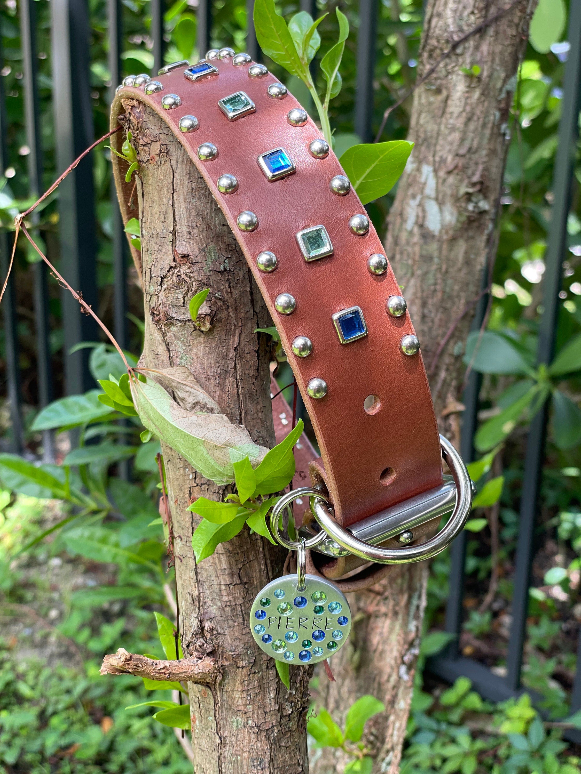 Baryte Square Jewel Leather Dog Collar – 1.5" Large Dog Collar with Nickel Nameplate