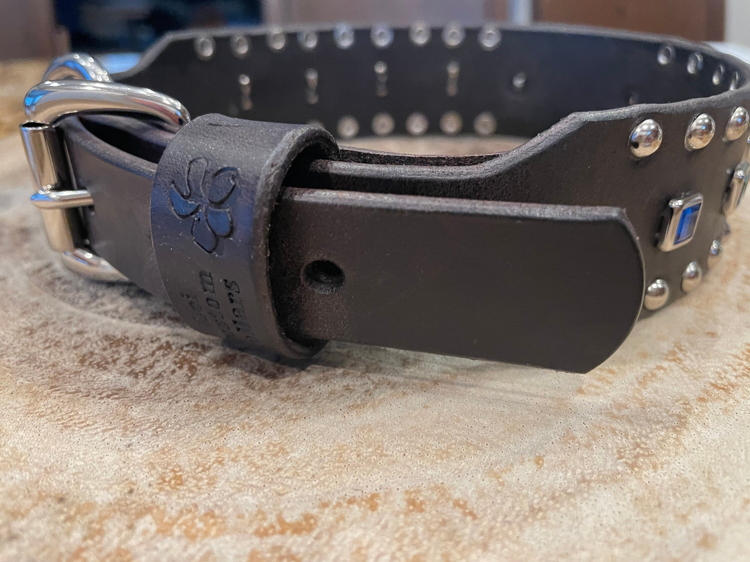 Baryte Square Jewel Leather Dog Collar – 1.5" Large Dog Collar with Nickel Nameplate