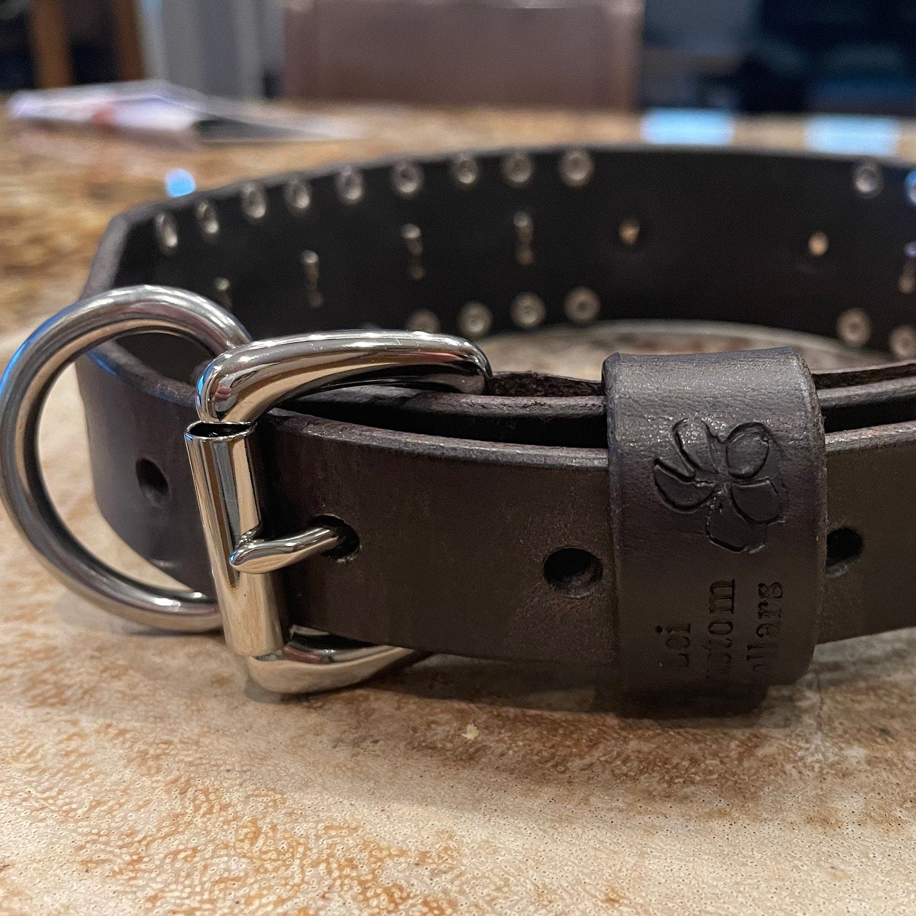 2" Berry Concho Swarovski Crystal Leather Dog Collar