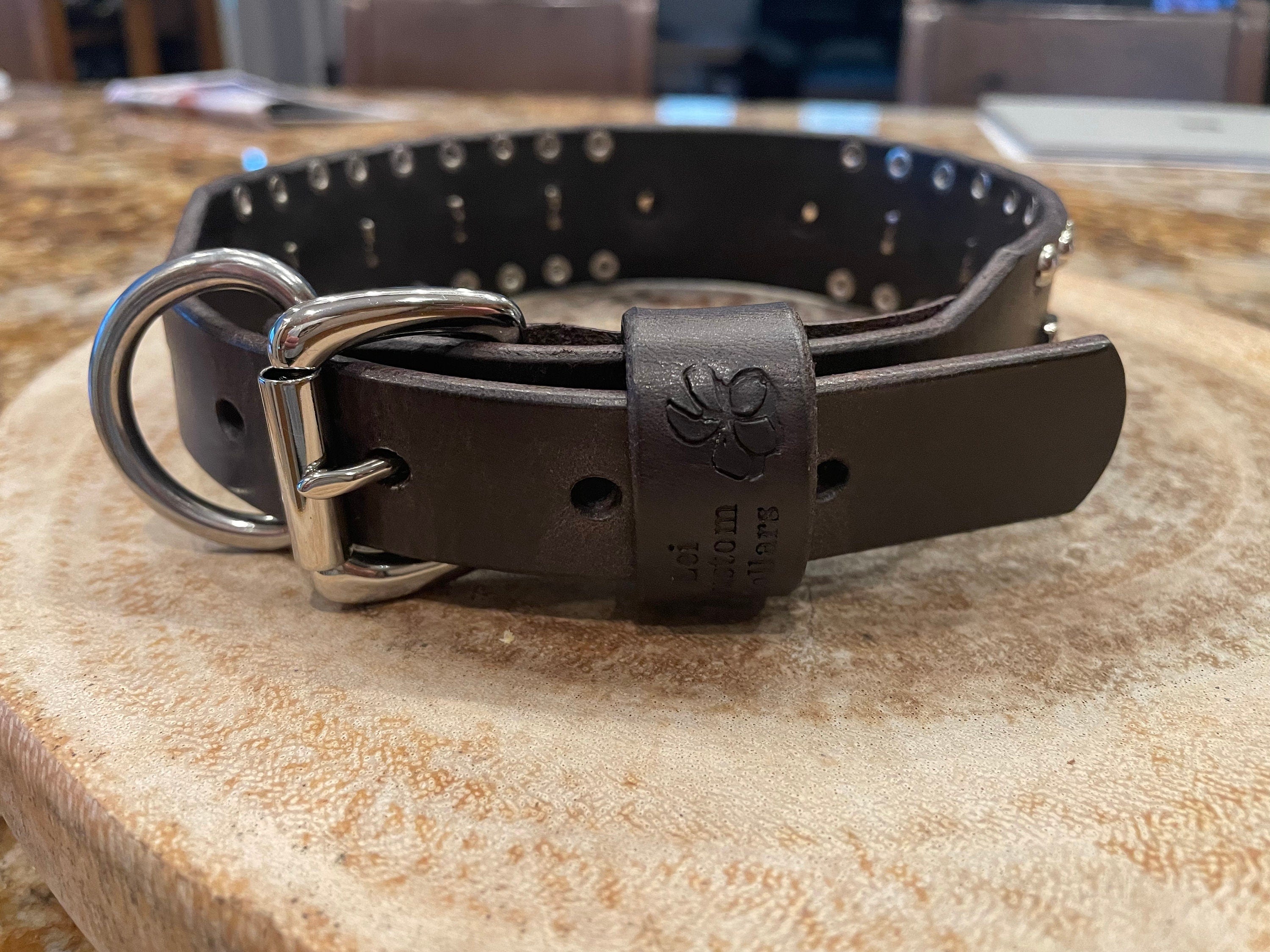 Baryte Square Jewel Leather Dog Collar – 1.5" Large Dog Collar with Nickel Nameplate