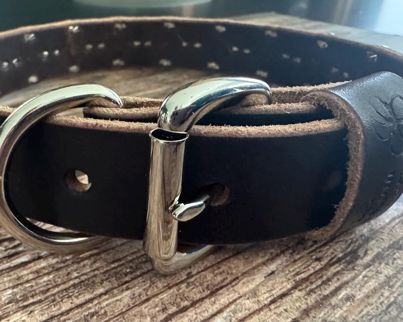 The Aurora Collar buckle closeup